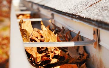 Skellingthorpe gutter cleaning companies