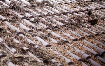 Skellingthorpe roof cleaning companies