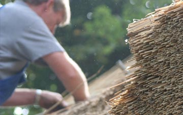 professional Skellingthorpe thatchers