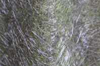 Skellingthorpe fibreglass roof work